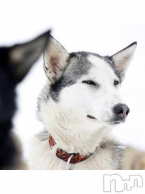 上越デリヘル 上越風俗出張アロママッサージ(ジョウエツフウゾクシュッチョウアロママッサージ) ゆずき☆(37)の2月16日写メブログ「ありがとうございました^_^」