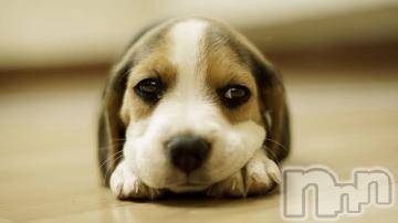 上越デリヘル 上越風俗出張アロママッサージ(ジョウエツフウゾクシュッチョウアロママッサージ) ゆずき☆(37)の2月16日写メブログ「ありがとうございました^_^」