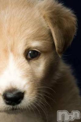 上越デリヘル 上越風俗出張アロママッサージ(ジョウエツフウゾクシュッチョウアロママッサージ) ゆずき☆(37)の2月18日写メブログ「ありがとうございました^_^」