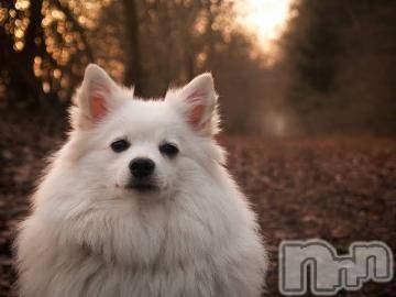 上越デリヘル 上越風俗出張アロママッサージ(ジョウエツフウゾクシュッチョウアロママッサージ) ゆずき☆(37)の3月9日写メブログ「ありがとうございました^_^」