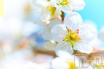 上越デリヘル 上越風俗出張アロママッサージ(ジョウエツフウゾクシュッチョウアロママッサージ) ゆずき☆(37)の3月24日写メブログ「ありがとうございました^_^」