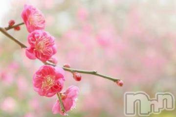 上越デリヘル 上越風俗出張アロママッサージ(ジョウエツフウゾクシュッチョウアロママッサージ) ゆずき☆(37)の4月13日写メブログ「ありがとうございました^ ^」