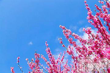 上越デリヘル 上越風俗出張アロママッサージ(ジョウエツフウゾクシュッチョウアロママッサージ) ゆずき☆(37)の4月18日写メブログ「ありがとうございました^ - ^」