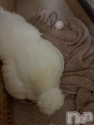 上越デリヘル 上越風俗出張アロママッサージ(ジョウエツフウゾクシュッチョウアロママッサージ) ゆずき☆(37)の4月20日写メブログ「最近の煉獄さん」