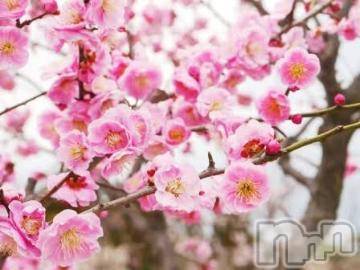 上越デリヘル 上越風俗出張アロママッサージ(ジョウエツフウゾクシュッチョウアロママッサージ) ゆずき☆(37)の4月22日写メブログ「ありがとうございました^ ^」