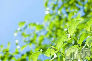 上越デリヘル 上越風俗出張アロママッサージ(ジョウエツフウゾクシュッチョウアロママッサージ) ゆずき☆(37)の5月10日写メブログ「ありがとうございました^ - ^」