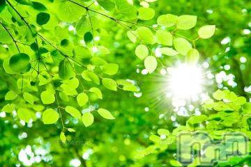 上越デリヘル 上越風俗出張アロママッサージ(ジョウエツフウゾクシュッチョウアロママッサージ) ゆずき☆(37)の5月10日写メブログ「ありがとうございました^ - ^」