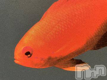 上越デリヘル 上越風俗出張アロママッサージ(ジョウエツフウゾクシュッチョウアロママッサージ) ゆずき☆(37)の6月17日写メブログ「本日も」