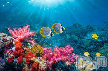 上越デリヘル 上越風俗出張アロママッサージ(ジョウエツフウゾクシュッチョウアロママッサージ) ゆずき☆(37)の7月25日写メブログ「おやすみありがとうございました^_^」