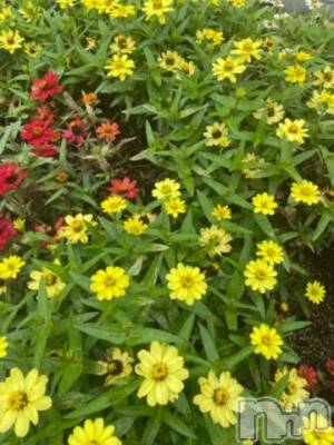 上越デリヘル 上越風俗出張アロママッサージ(ジョウエツフウゾクシュッチョウアロママッサージ) ゆずき☆(37)の9月7日写メブログ「雨が優しい」