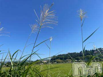 上越デリヘル 上越風俗出張アロママッサージ(ジョウエツフウゾクシュッチョウアロママッサージ) ゆずき☆(37)の9月30日写メブログ「きれいな季節」