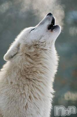 上越デリヘル 上越風俗出張アロママッサージ(ジョウエツフウゾクシュッチョウアロママッサージ) ゆずき☆(37)の10月17日写メブログ「ありがとうございました^ - ^」