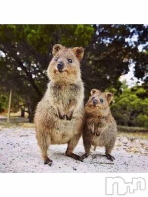 上越デリヘル 上越風俗出張アロママッサージ(ジョウエツフウゾクシュッチョウアロママッサージ) ゆずき☆(37)の10月22日写メブログ「ありがとうございました^ - ^」