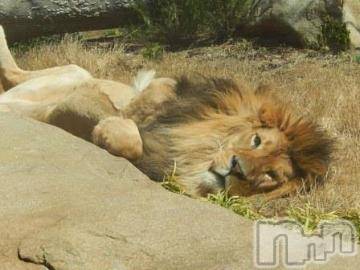 上越デリヘル 上越風俗出張アロママッサージ(ジョウエツフウゾクシュッチョウアロママッサージ) ゆずき☆(37)の11月11日写メブログ「ありがとうございました^ - ^」