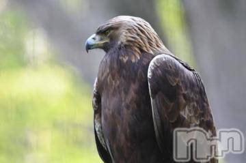 上越デリヘル 上越風俗出張アロママッサージ(ジョウエツフウゾクシュッチョウアロママッサージ) ゆずき☆(37)の11月11日写メブログ「ありがとうございました^ - ^」