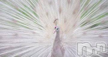 上越デリヘル 上越風俗出張アロママッサージ(ジョウエツフウゾクシュッチョウアロママッサージ) ゆずき☆(37)の11月16日写メブログ「ありがとうございました^ - ^」