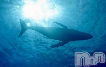 上越デリヘル 上越風俗出張アロママッサージ(ジョウエツフウゾクシュッチョウアロママッサージ) ゆずき☆(37)の12月7日写メブログ「おやすみありがとうございました^ - ^」