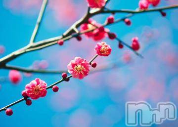 上越デリヘル 上越風俗出張アロママッサージ(ジョウエツフウゾクシュッチョウアロママッサージ) ゆずき☆(37)の3月3日写メブログ「ありがとうございました^ - ^」