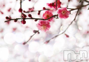 上越デリヘル 上越風俗出張アロママッサージ(ジョウエツフウゾクシュッチョウアロママッサージ) ゆずき☆(37)の3月13日写メブログ「ありがとうございました^ - ^」