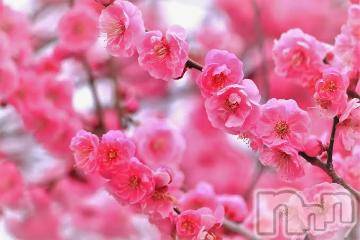 上越デリヘル 上越風俗出張アロママッサージ(ジョウエツフウゾクシュッチョウアロママッサージ) ゆずき☆(37)の3月13日写メブログ「ありがとうございました^ - ^」