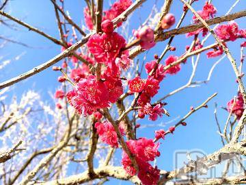 上越デリヘル 上越風俗出張アロママッサージ(ジョウエツフウゾクシュッチョウアロママッサージ) ゆずき☆(37)の3月17日写メブログ「ありがとうございました^ - ^」