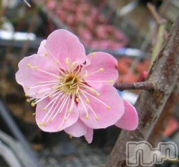 上越デリヘル 上越風俗出張アロママッサージ(ジョウエツフウゾクシュッチョウアロママッサージ) ゆずき☆(37)の3月30日写メブログ「ありがとうございました^ - ^」