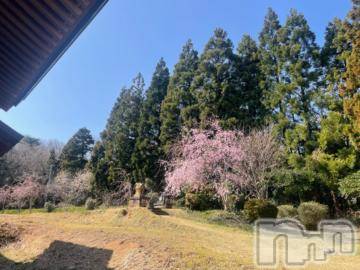 上越デリヘル 上越風俗出張アロママッサージ(ジョウエツフウゾクシュッチョウアロママッサージ) ゆずき☆(37)の3月30日写メブログ「本日も」