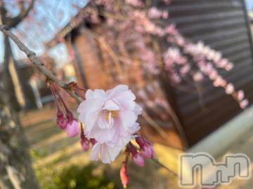 上越デリヘル 上越風俗出張アロママッサージ(ジョウエツフウゾクシュッチョウアロママッサージ) ゆずき☆(37)の4月1日写メブログ「本日も」