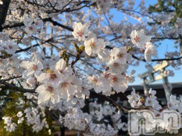 上越デリヘル 上越風俗出張アロママッサージ(ジョウエツフウゾクシュッチョウアロママッサージ) ゆずき☆(37)の4月2日写メブログ「本日も」