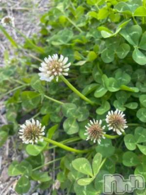 上越デリヘル 上越風俗出張アロママッサージ(ジョウエツフウゾクシュッチョウアロママッサージ) ゆずき☆(37)の4月21日写メブログ「ありがとうございました^ - ^」