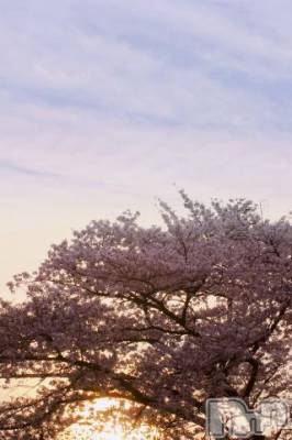 上越デリヘル 上越風俗出張アロママッサージ(ジョウエツフウゾクシュッチョウアロママッサージ) ゆずき☆(37)の4月21日写メブログ「ありがとうございました^ - ^」