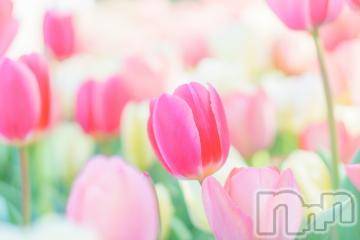 上越デリヘル 上越風俗出張アロママッサージ(ジョウエツフウゾクシュッチョウアロママッサージ) ゆずき☆(37)の5月4日写メブログ「本日も」