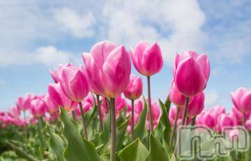 上越デリヘル 上越風俗出張アロママッサージ(ジョウエツフウゾクシュッチョウアロママッサージ) ゆずき☆(37)の5月5日写メブログ「ありがとうございました^ - ^」