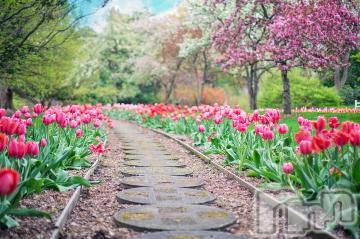 上越デリヘル 上越風俗出張アロママッサージ(ジョウエツフウゾクシュッチョウアロママッサージ) ゆずき☆(37)の5月5日写メブログ「ありがとうございました^ - ^」