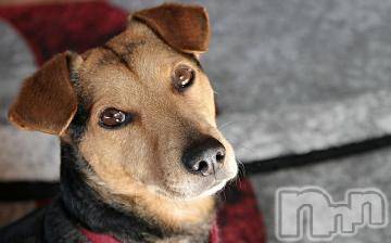 上越デリヘル 上越風俗出張アロママッサージ(ジョウエツフウゾクシュッチョウアロママッサージ) ゆずき☆(37)の5月6日写メブログ「本日も」