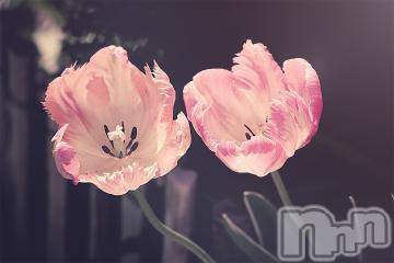 上越デリヘル 上越風俗出張アロママッサージ(ジョウエツフウゾクシュッチョウアロママッサージ) ゆずき☆(37)の5月6日写メブログ「ありがとうございました^ - ^」