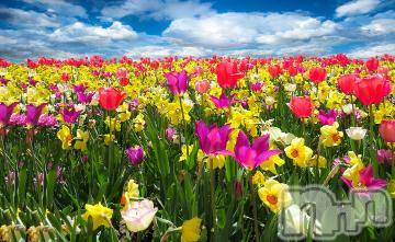 上越デリヘル 上越風俗出張アロママッサージ(ジョウエツフウゾクシュッチョウアロママッサージ) ゆずき☆(37)の5月8日写メブログ「ありがとうございました^ - ^」