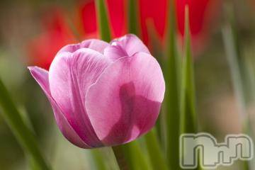 上越デリヘル 上越風俗出張アロママッサージ(ジョウエツフウゾクシュッチョウアロママッサージ) ゆずき☆(37)の5月22日写メブログ「ありがとうございました^ - ^」