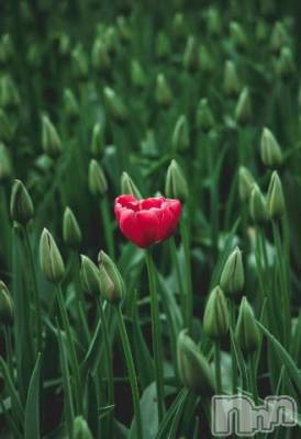 上越デリヘル 上越風俗出張アロママッサージ(ジョウエツフウゾクシュッチョウアロママッサージ) ゆずき☆(37)の5月23日写メブログ「ありがとうございました^ - ^」