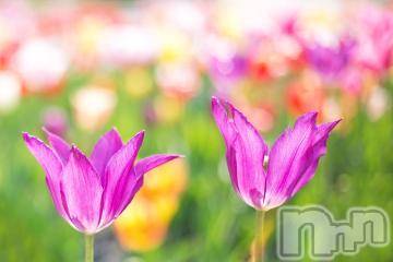 上越デリヘル 上越風俗出張アロママッサージ(ジョウエツフウゾクシュッチョウアロママッサージ) ゆずき☆(37)の5月24日写メブログ「ありがとうございました^ - ^」