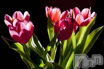 上越デリヘル 上越風俗出張アロママッサージ(ジョウエツフウゾクシュッチョウアロママッサージ) ゆずき☆(37)の5月25日写メブログ「ありがとうございました^ - ^」