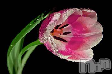 上越デリヘル 上越風俗出張アロママッサージ(ジョウエツフウゾクシュッチョウアロママッサージ) ゆずき☆(37)の6月5日写メブログ「ありがとうございました^ - ^」