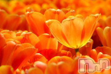 上越デリヘル 上越風俗出張アロママッサージ(ジョウエツフウゾクシュッチョウアロママッサージ) ゆずき☆(37)の6月19日写メブログ「ありがとうございました^ - ^」