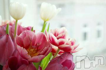 上越デリヘル 上越風俗出張アロママッサージ(ジョウエツフウゾクシュッチョウアロママッサージ) ゆずき☆(37)の6月19日写メブログ「ありがとうございました^ - ^」