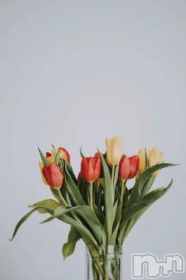 上越デリヘル 上越風俗出張アロママッサージ(ジョウエツフウゾクシュッチョウアロママッサージ) ゆずき☆(37)の6月19日写メブログ「ありがとうございました^ - ^」