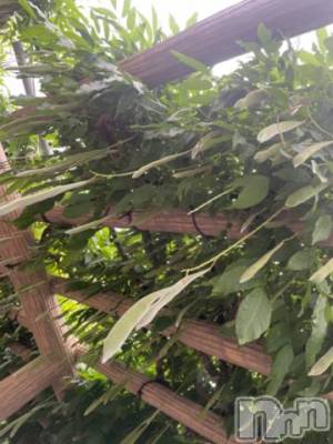 上越デリヘル 上越風俗出張アロママッサージ(ジョウエツフウゾクシュッチョウアロママッサージ) ゆずき☆(37)の6月22日写メブログ「本日も」