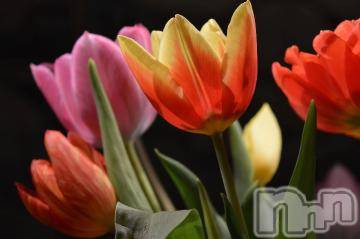 上越デリヘル 上越風俗出張アロママッサージ(ジョウエツフウゾクシュッチョウアロママッサージ) ゆずき☆(37)の6月24日写メブログ「ありがとうございました^ - ^」