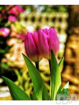 上越デリヘル 上越風俗出張アロママッサージ(ジョウエツフウゾクシュッチョウアロママッサージ) ゆずき☆(37)の7月11日写メブログ「ありがとうございました^ - ^」