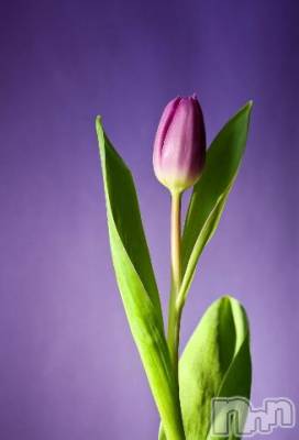 上越デリヘル 上越風俗出張アロママッサージ(ジョウエツフウゾクシュッチョウアロママッサージ) ゆずき☆(37)の7月12日写メブログ「ありがとうございました^ - ^」