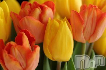 上越デリヘル 上越風俗出張アロママッサージ(ジョウエツフウゾクシュッチョウアロママッサージ) ゆずき☆(37)の7月17日写メブログ「ありがとうございました^ - ^」